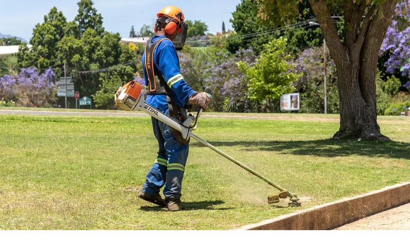 How Much Does it Cost to Scalp Your Lawn?