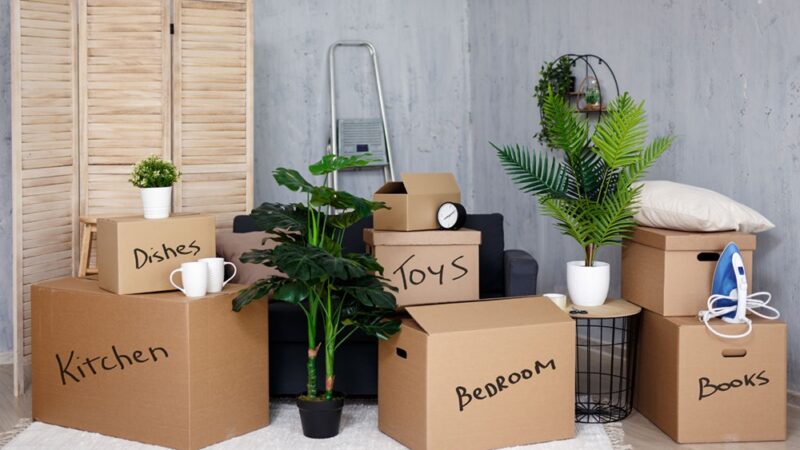 How To Declutter Before A Move