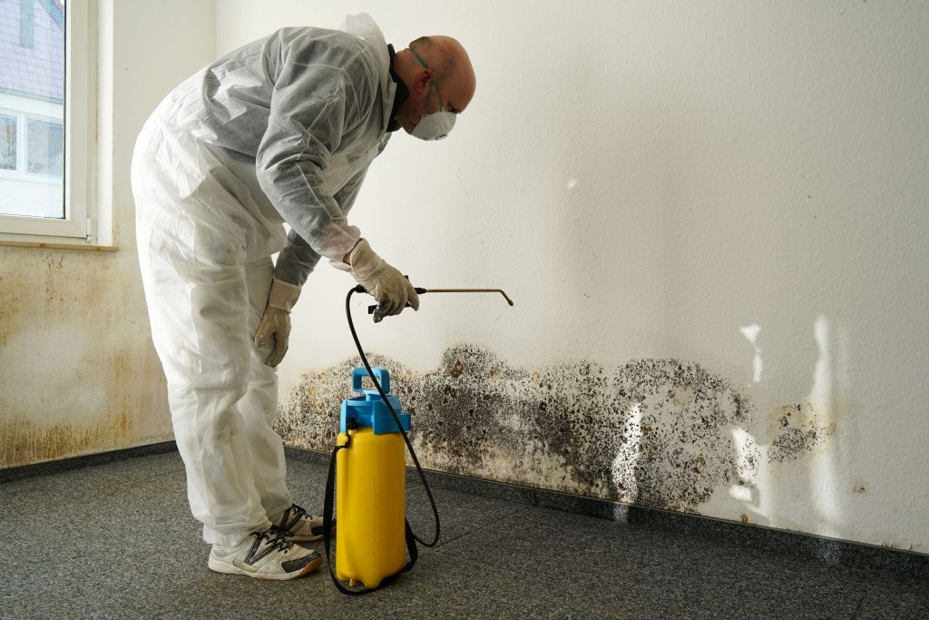 Mold Development in Cold Temperatures: Common Wintertime Factors