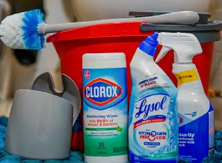 The Ultimate Guide to Choosing the Best Toilet Cleaner Products