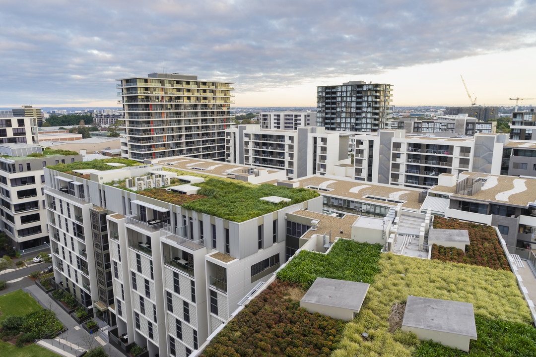 Green Roofing in Baltimore: Residential vs. Commercial