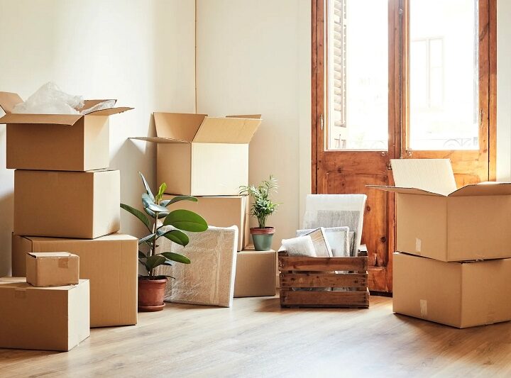 Things to Consider before opting for Bronx Movers