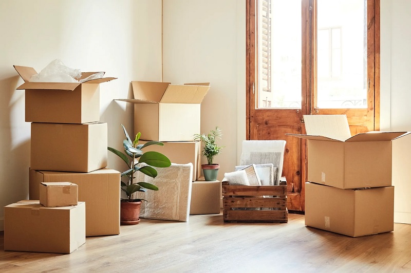 Things to Consider before opting for Bronx Movers