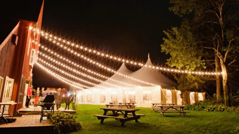 How to Choose the Perfect Outdoor Wedding Lights for Your Ogden Celebration