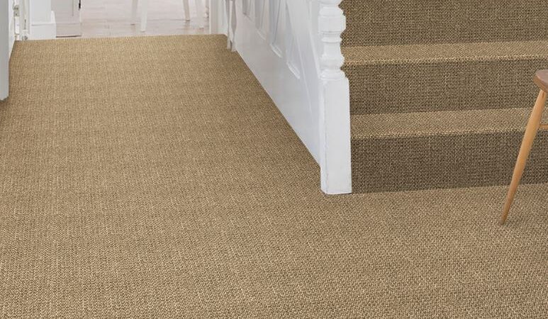 Sustainable Style: Why Sisal Carpets are the Eco-Friendly Flooring Trend You Need