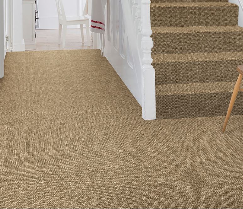 Sustainable Style: Why Sisal Carpets are the Eco-Friendly Flooring Trend You Need