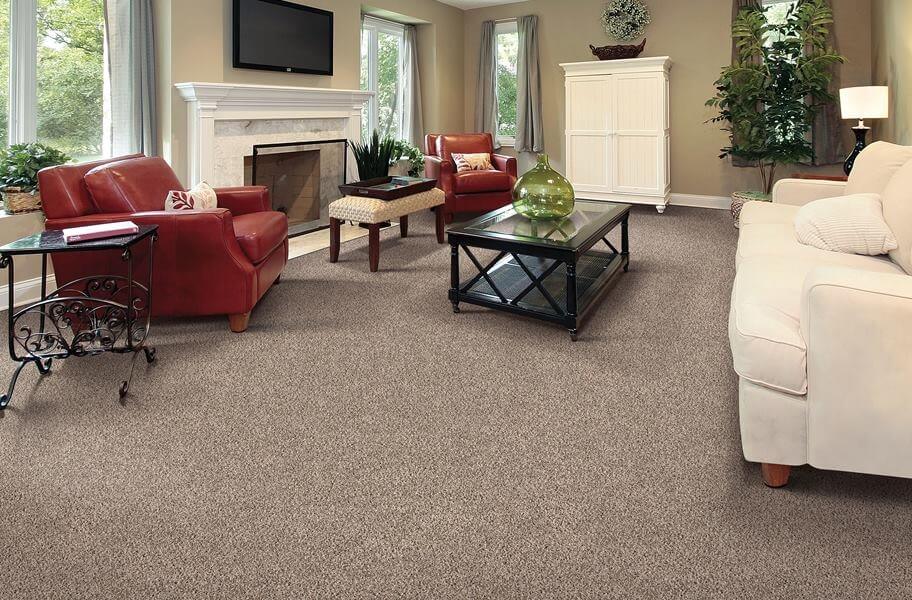 Eco-Friendly Wall-to-Wall Carpets: Sustainable Choices for Green Living