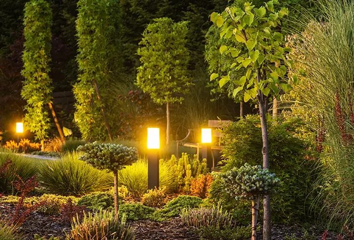 Brighten Your Garden: Creative Lighting Inspirations