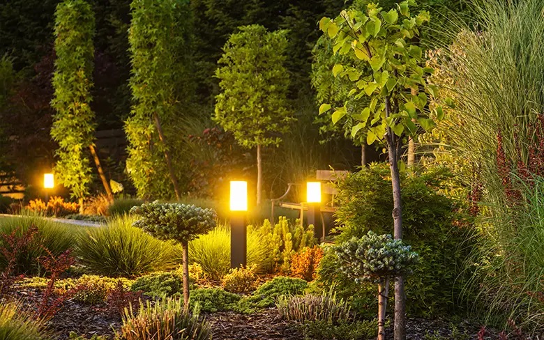 Brighten Your Garden: Creative Lighting Inspirations