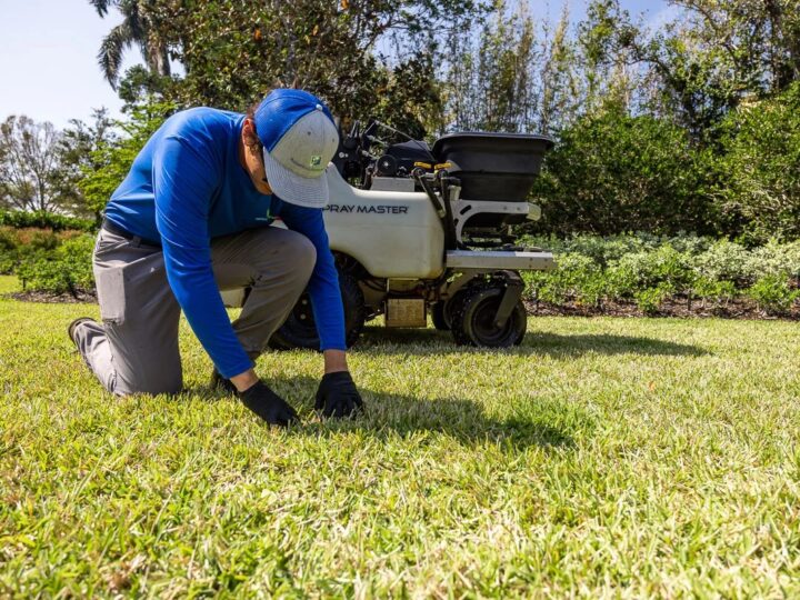 Why Hiring a Local Lawn Care Expert Makes a Difference