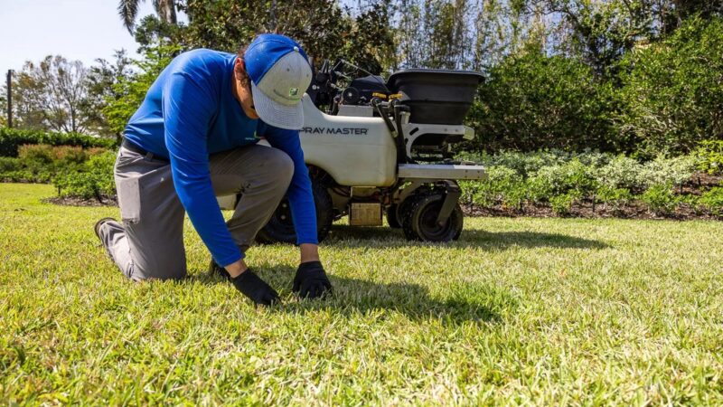 Why Hiring a Local Lawn Care Expert Makes a Difference