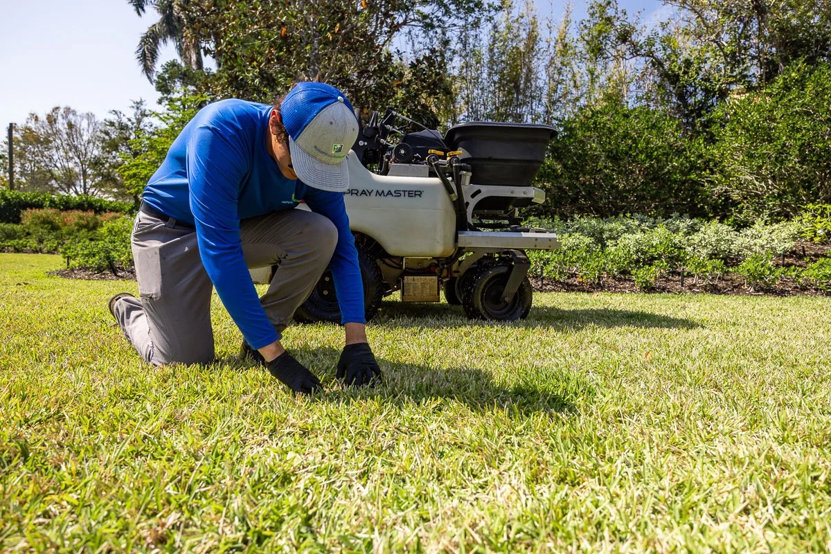 Why Hiring a Local Lawn Care Expert Makes a Difference